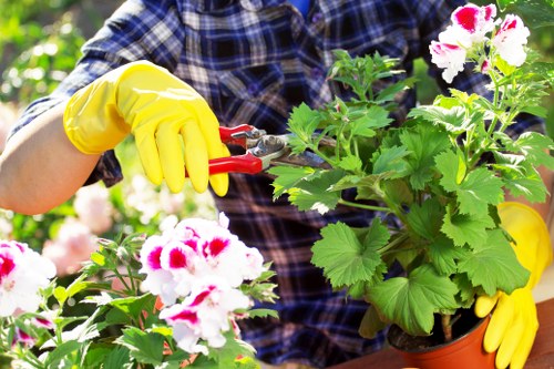 Complaint process for gardening services with service review and resolution
