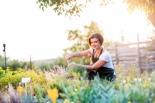 Gardeners Blackwall maintaining a well-kept urban garden