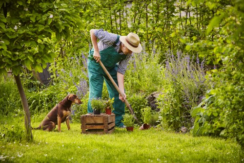 Illustration representing accessible Gardeners Blackwall content
