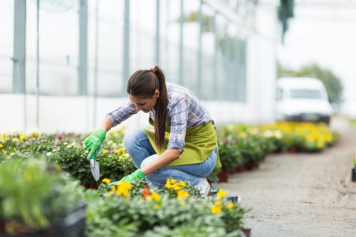 Local transfer station handling green waste from Blackwall