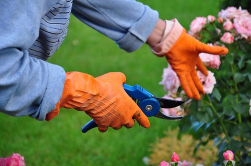 Professional garden maintenance services in Blackwall for urban outdoor spaces