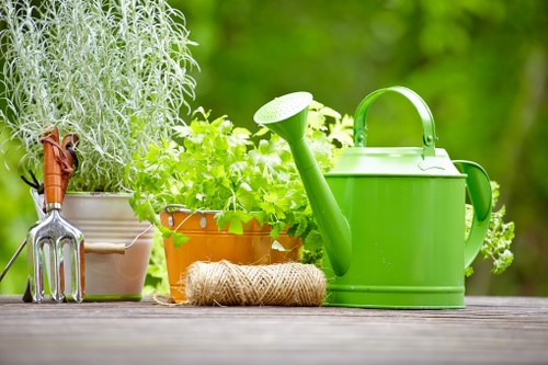 Professional Gardeners Blackwall creating a tidy and attractive outdoor area