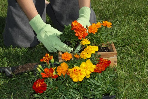 Weed control and pruning as part of Blackwall gardening services