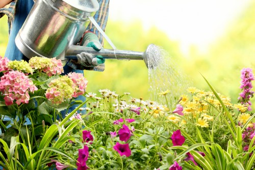 Blackwall gardening service improving a landscaped outdoor space