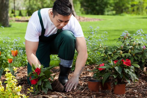 Soft landscaping and garden design support in Blackwall