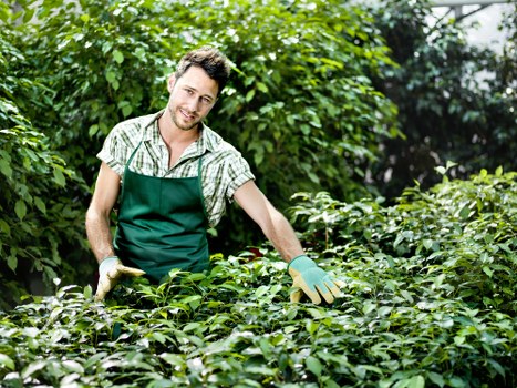 Local garden maintenance in Blackwall with seasonal planting