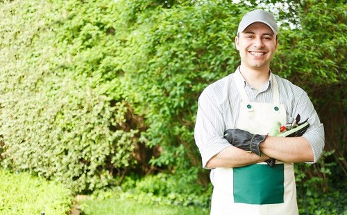 Seasonal Blackwall lawn maintenance for a tidy urban garden