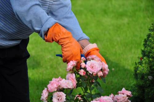 Illustration representing accessibility support for local gardening services