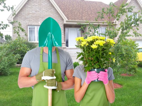 Professional hedge trimming in Blackwall during seasonal garden care