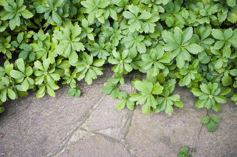 Garden outdoor space