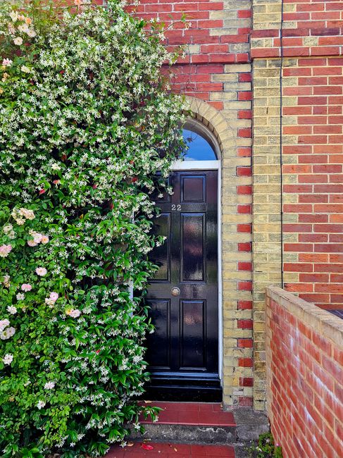 An aerial view of several terraced gardens in Tower Hamlets, showcasing a variety of lush green lawns, mature trees, and neatly maintained flowerbeds. The gardens feature different layouts with some h